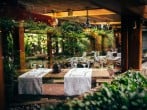 Garden Garden
